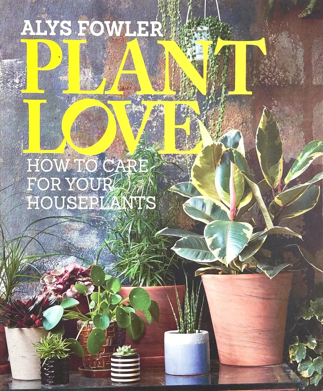 Plant Love - How to care for your houseplants - Alys Fowler - Bild 2