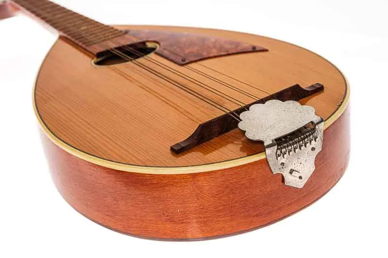 Mandoline, 8 Saitig! – Bild 4
