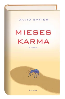 Mieses Karma - David Safier