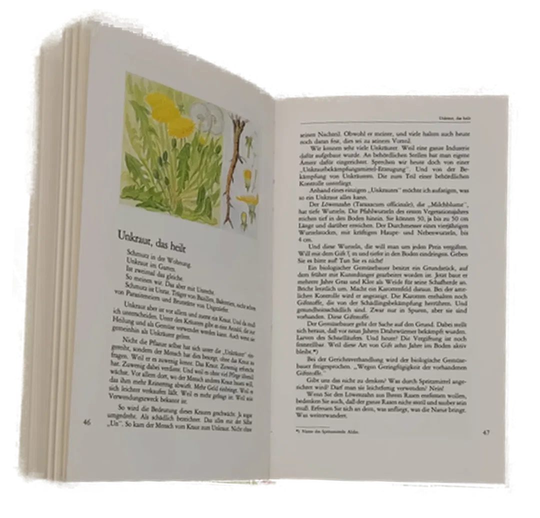 Buch "Ich bin eine Ringelblume" von Hermann-Josef Weidinger – Bild 3