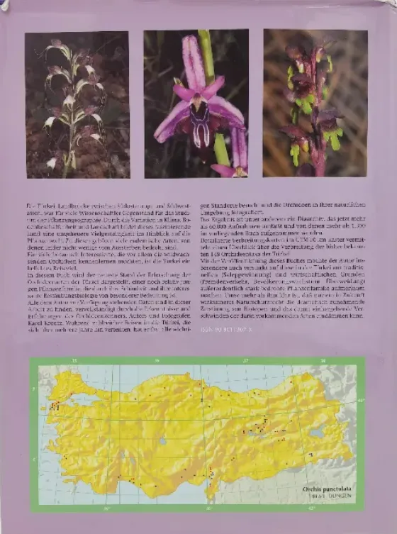 Die Orchideen der Türkei - C. A. J. Kreutz – Bild 2