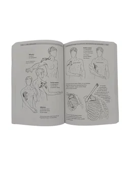 Blandine Calais-Germain - Anatomy of Movement - Bild 3