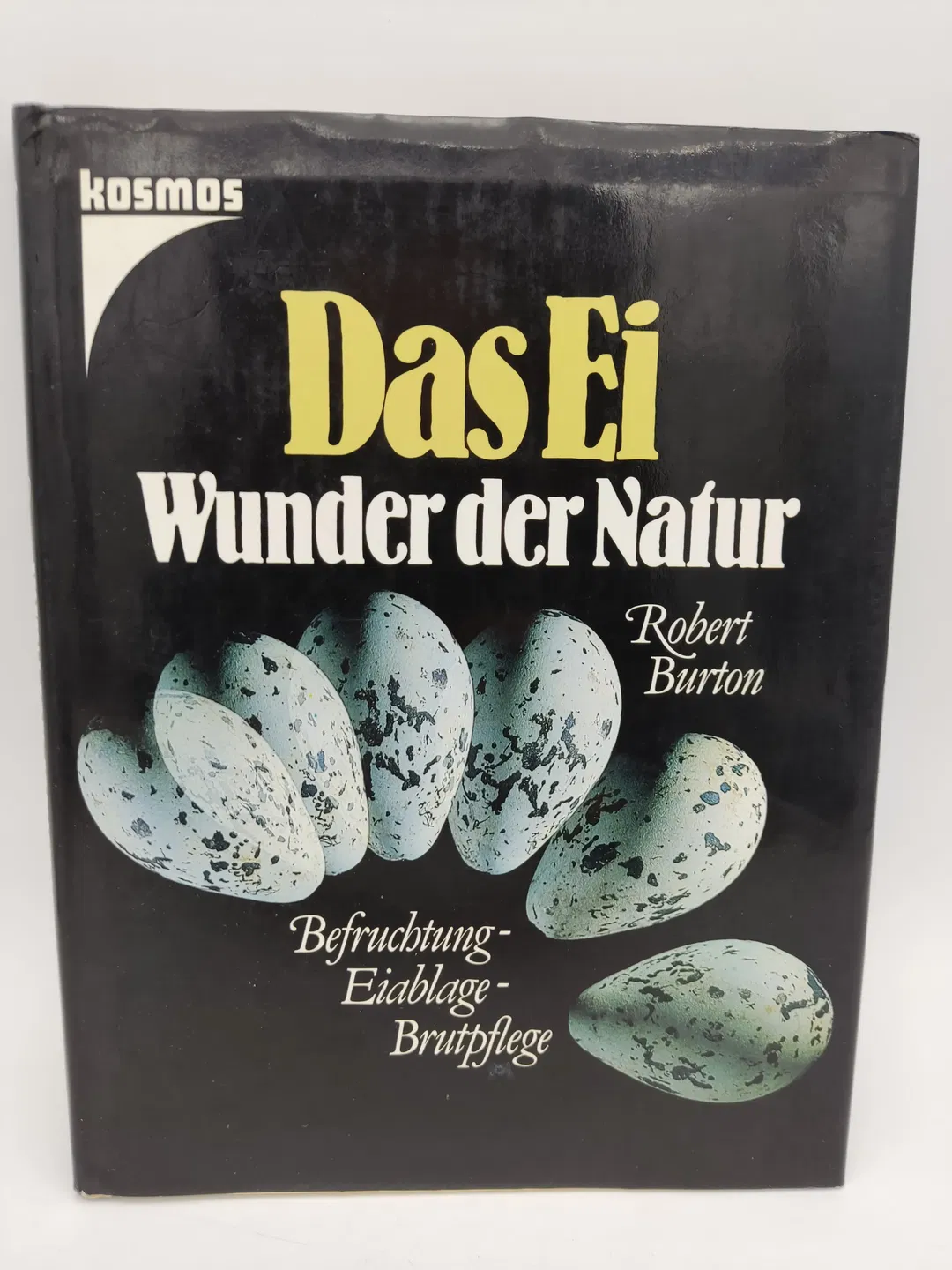Das Ei. Wunder der Natur - Robert Burton - Bild 2
