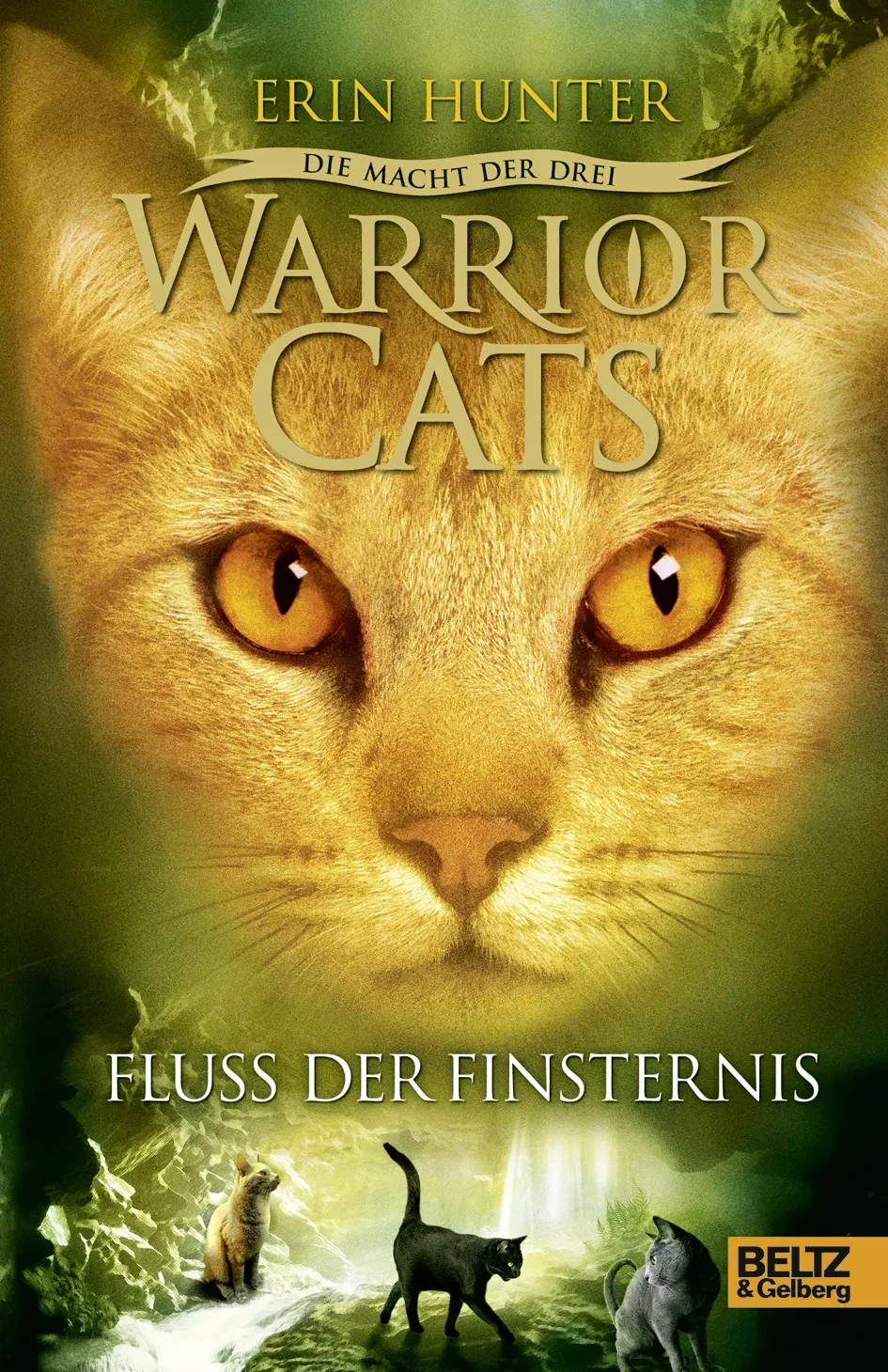 Warrior Cats - Die Macht der drei - Fluss der Finsternis - Erin Hunter - Bild 1