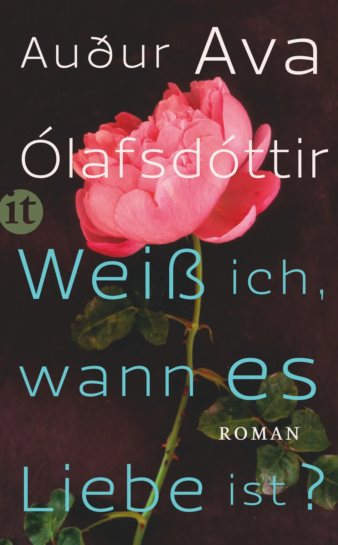 Weiß ich, wann es Liebe ist? - Auður Ava Ólafsdóttir - Bild 2