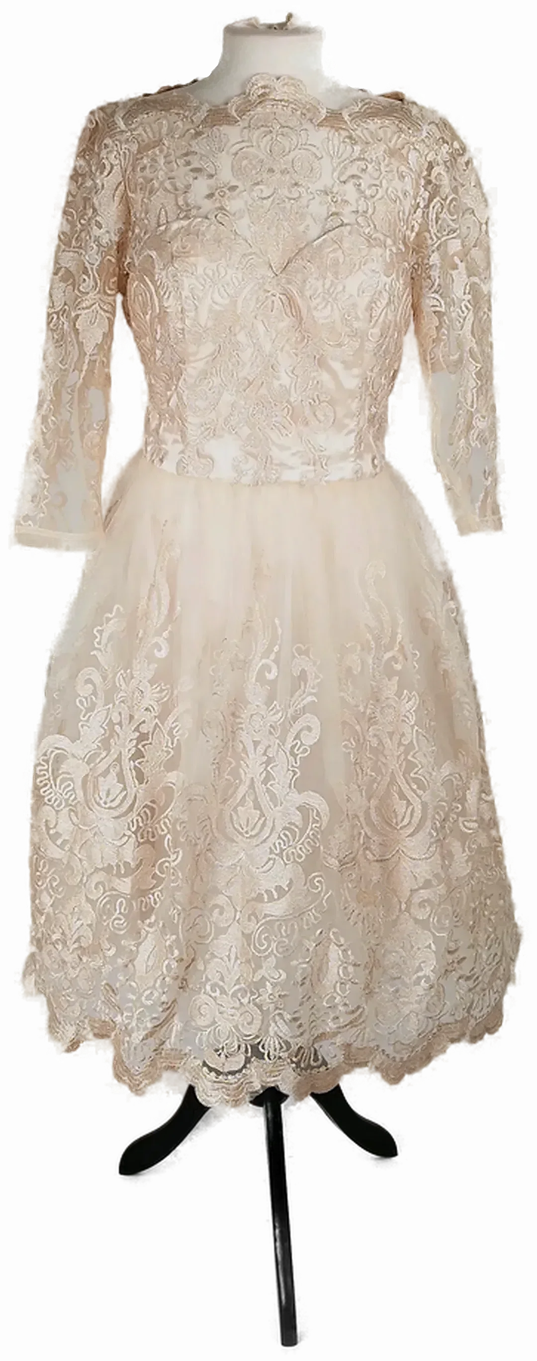 Spitzenkleid Chi Chi London Champagner | Festlicher Charme - Bild 1