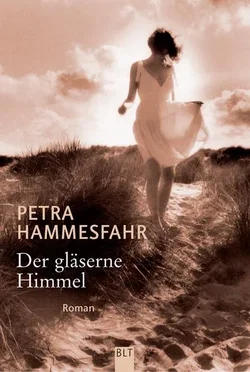 Der gläserne Himmel - Petra Hammesfahr
