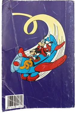 Disney Lustiges Taschenbuch 