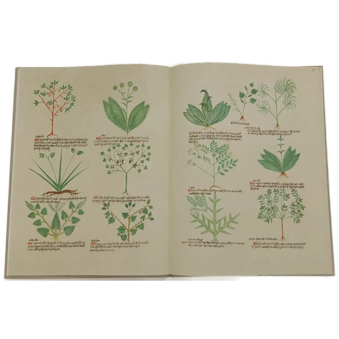 Buch "De Simplici Medicina" Kräuterbuch, Ausgabe April 1961 – Bild 2