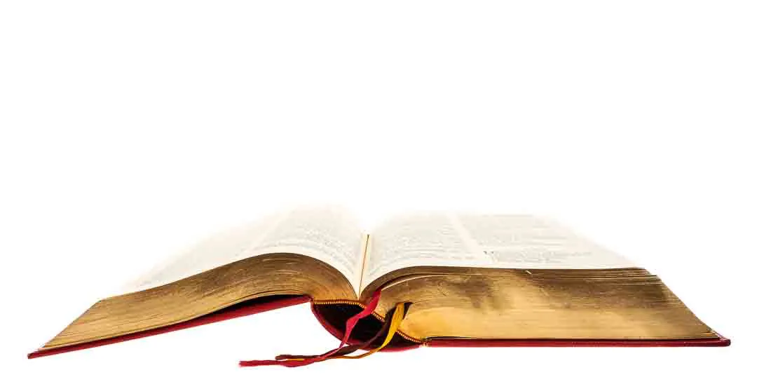 Die Heilige Schrift  – Bild 2
