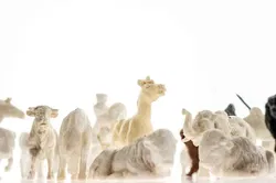 Reklame Kaffee Titze Figuren Konvolut 30 Stück - Bild 4