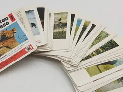 Die letzten Paradiese 1 und 2 - Vintage Quartett Kartensets - F.X. Schmid - Bild 2