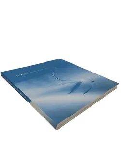 Freeride - Peter Mathis,Tom Dauer - Bild 3