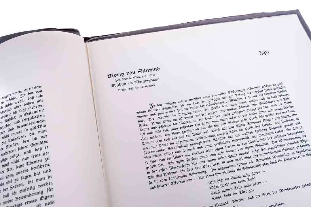 Meister Der Farbe "Europäische Kunst der Gegenwart" 11 Exemplare herausgegeben zw. 1906 und 1909 von E.A.Seemann – Bild 14