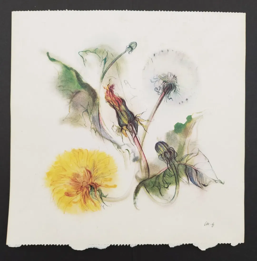 Ellen Gibis: Aquarellmalerei von Blumen - KOPIE - Bild 1