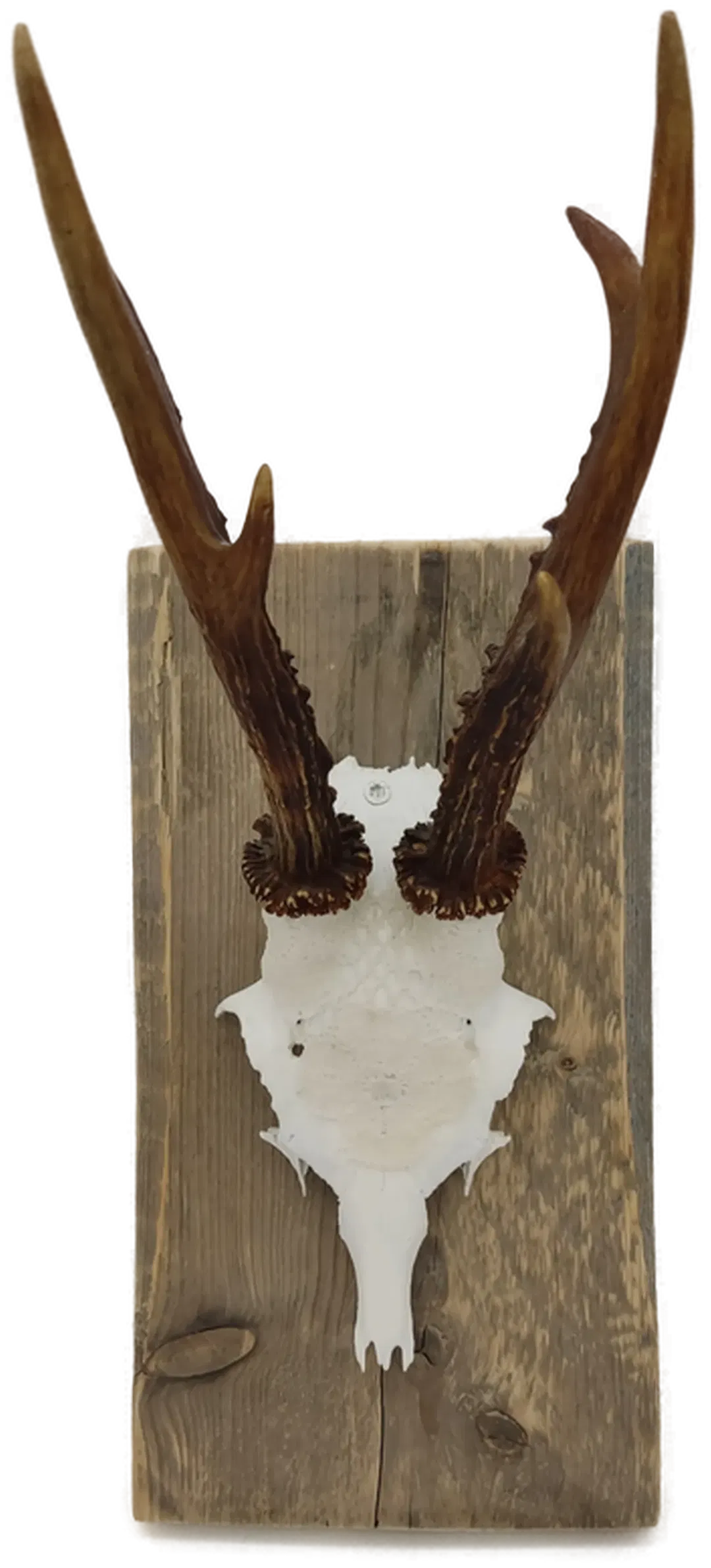 Krickerl mit Spitzen - Bild 1