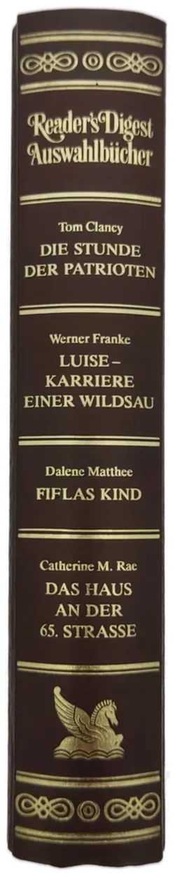 Die Stunde der Patrioten / LUISE - Karriere einer Wildsau / Fielas Kind / Das Haus an der 65. Straße - Bild 2