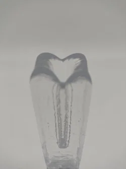 Glas Rosenvase - Bild 2