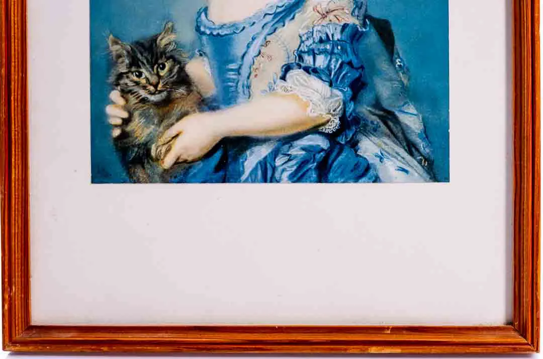 Bild Jean Baptiste Perronneau "Porträt des jungen Mädchens mit Katze" -Kunstdruck – Bild 2
