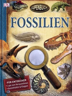 Kinderbuch Fossilien