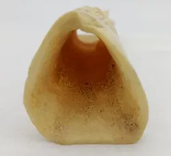 Skulptur aus Knochen - Bild 3