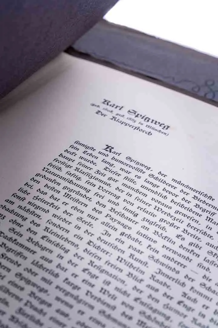 Meister Der Farbe "Europäische Kunst der Gegenwart" 11 Exemplare herausgegeben zw. 1906 und 1909 von E.A.Seemann – Bild 11