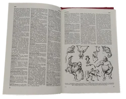 Buch Readers Digest Universal-Lexikon Band 1 bis 3 - Bild 5