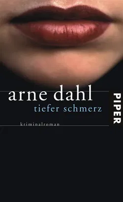 Tiefer Schmerz - Arne Dahl - Bild 1