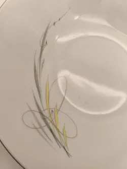 Speiseservice komplett , Eschenbach, 50er Jahre, Midcentury, Vintage, selten - Bild 6