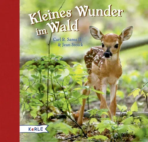 Kleines Wunder im Wald - Carl R. Sams II.,Jean Stoick - Bild 1