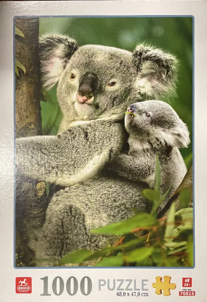 Deico Puzzle - 1000 Teile - Coala Bär - Nr. 76816 - Tiere aus dem Wald - Bild 1