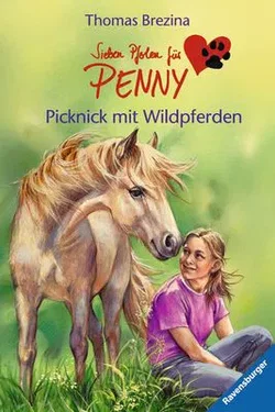 Picknick mit Wildpferden - Thomas C. Brezina