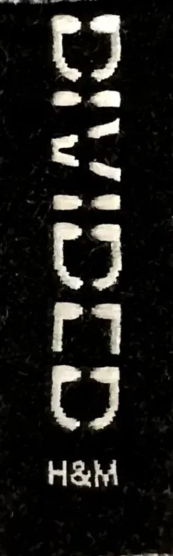 H&M Divided Damen Cargo Jeans grau Gr. EUR 32 / XS - Bild 3