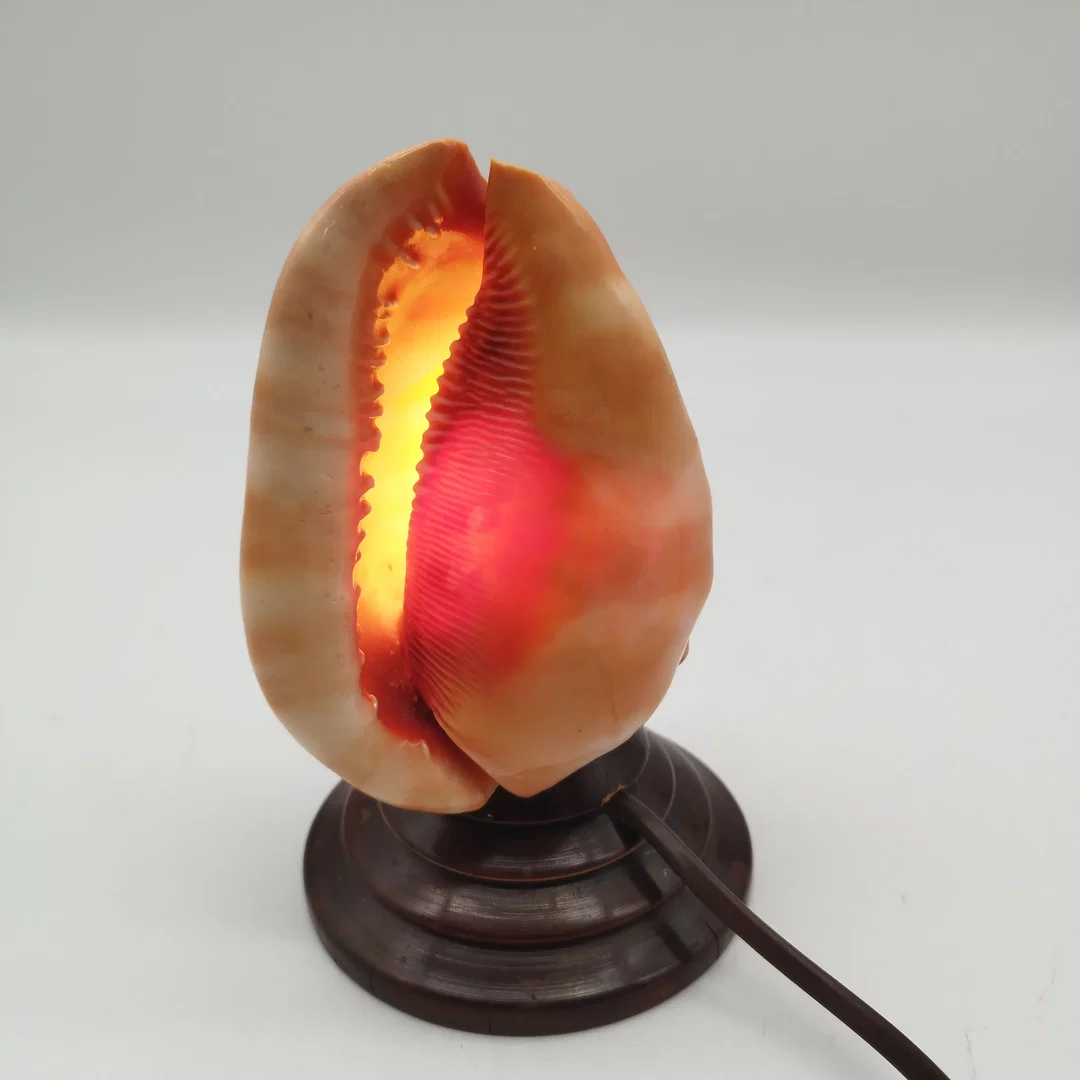 Antike italienische Muschellampe / Cameo-Shell-Akzentlampe – ca. 1920er Jahre – Bild 2