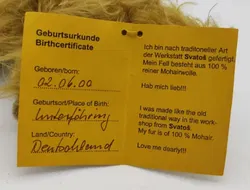 MS Bären - Löwe Leo - Bild 5