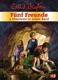 Fünf Freunde - 3 Abenteuer in einem Band - Enid Blyton