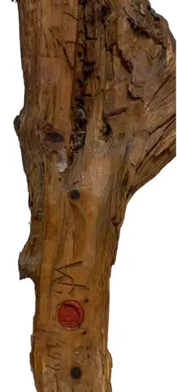 Handgeschnitzter Jesus am Kreuz – Rustikale Holzskulptur 62 cm Unikat – Vorschau 3