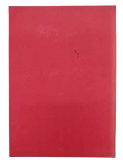 Gesund in die Zukunft - Bild 5