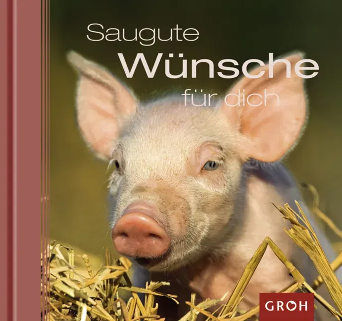 Saugute Wünsche für dich - Dorothée Bleker - Bild 1