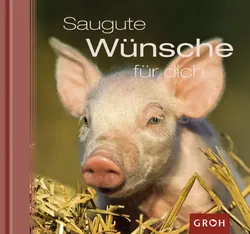 Saugute Wünsche für dich - Dorothée Bleker - Bild 1