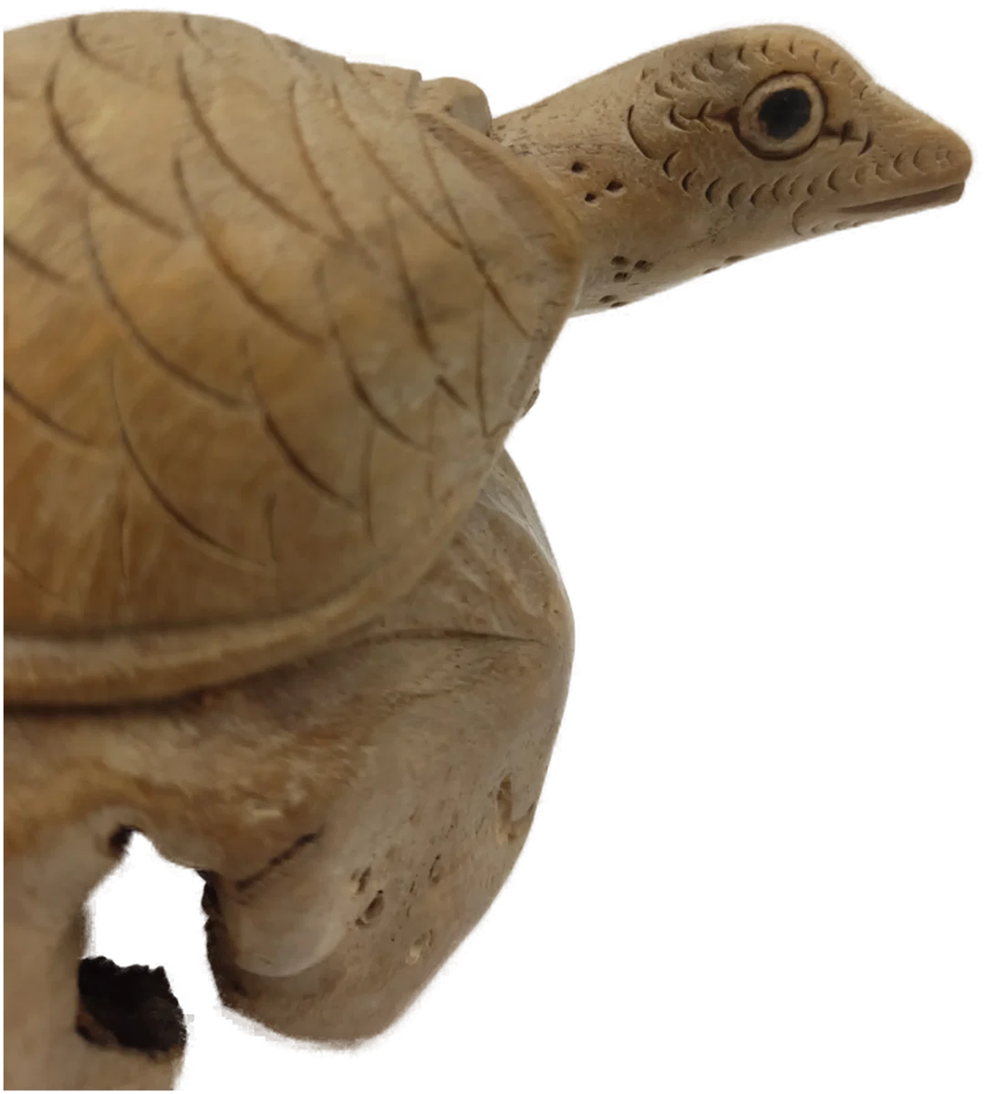 Schildkrötenfigur aus Wurzelholz | Handgeschnizte Glücksbringer – Bild 7