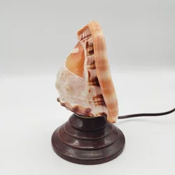 Antike italienische Muschellampe / Cameo-Shell-Akzentlampe – ca. 1920er Jahre – Vorschau 4