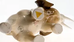 Royal Dux Bohemia Porzellan-Elefant – Exquisite Sammlerfigur - Bild 3