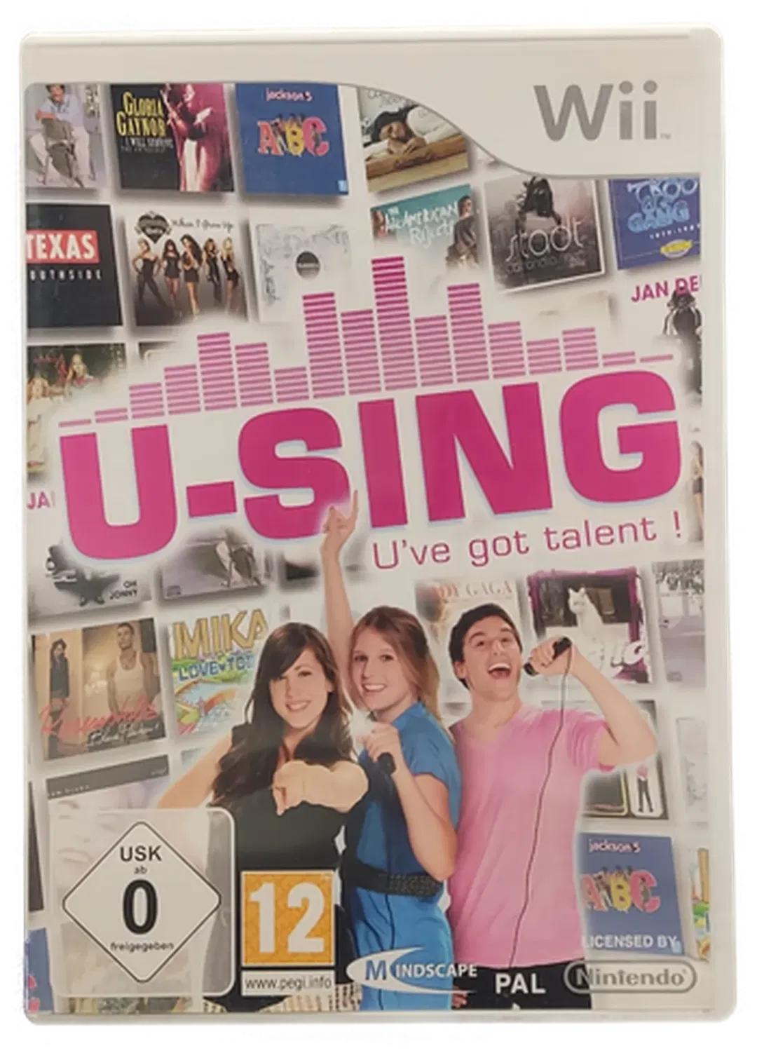 Nintendo Wii 