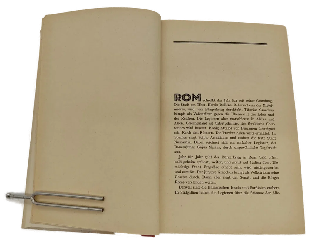 Buch "Herzog Bojo" von Kurt Pastenaci 1939 – Bild 6