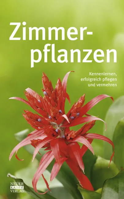 Zimmerpflanzen – Bild 1