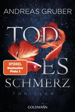 Todesschmerz - Andreas Gruber - Bild 1