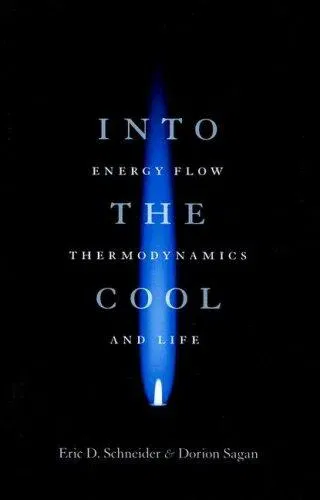 Into the Cool - Eric D. Schneider,Dorion Sagan - Bild 1