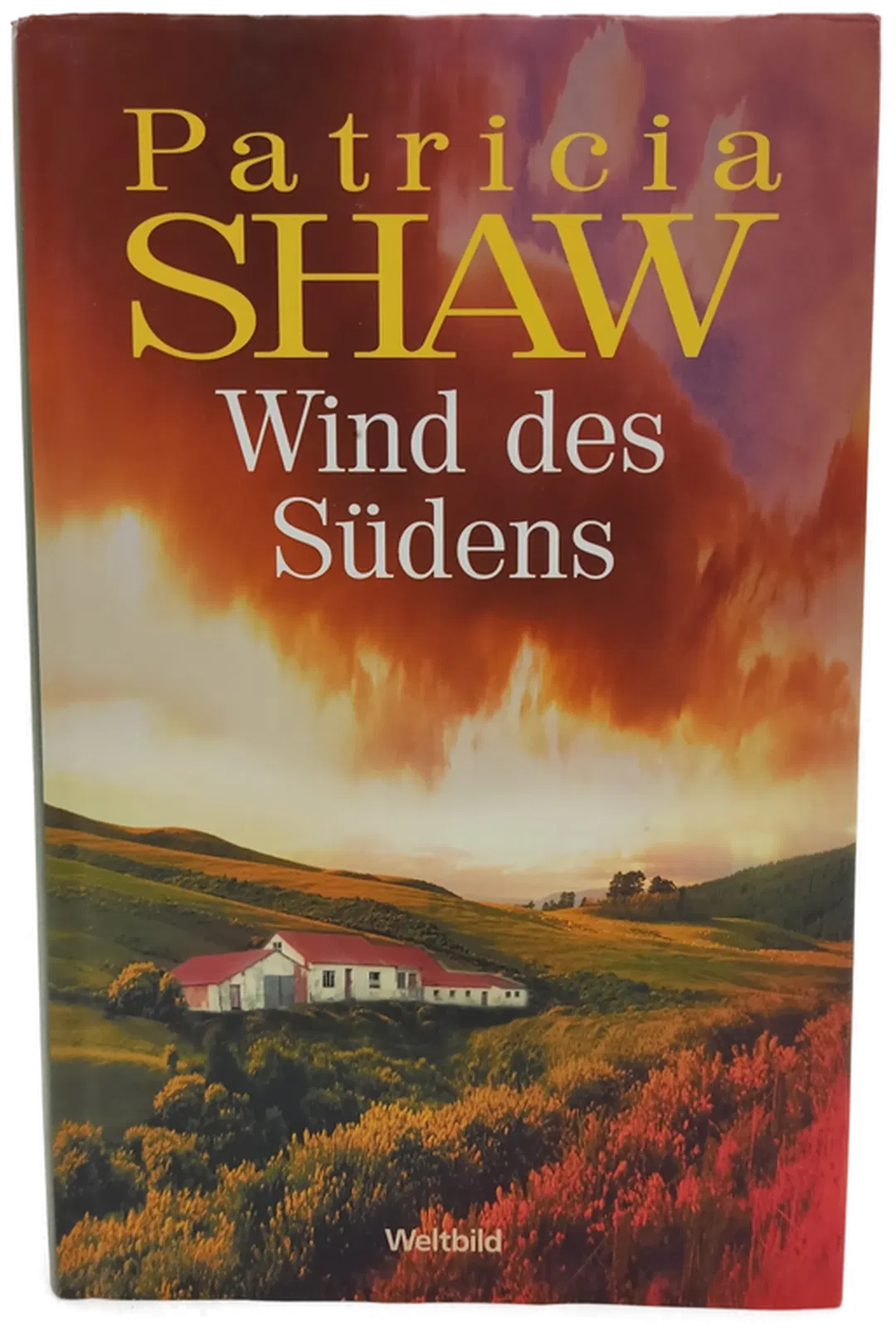 Wind des Südens - Patricia Shaw - Roman - Bild 1