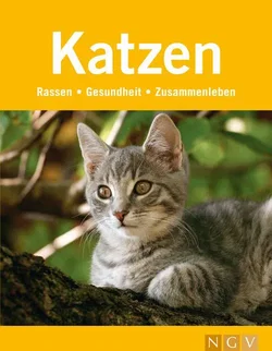 Katzen - Antje Breuer